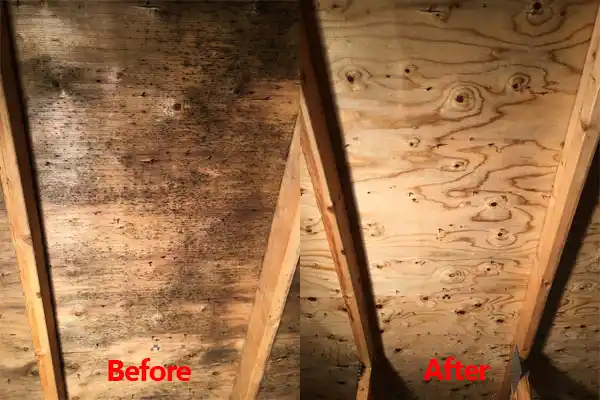 water damage restoration service Sandia Knolls